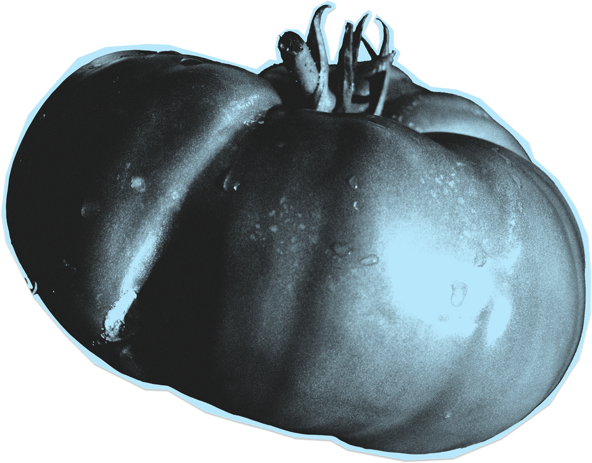 beef tomato background graphic