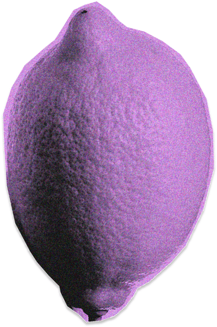 Lemon background graphic