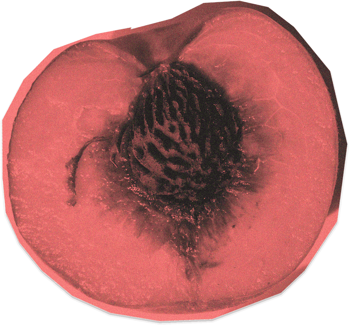 Peach background graphic